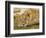 Young Lion in Grass-Arthur Morris-Framed Photographic Print