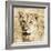 Young Lion-Susann Parker-Framed Photo