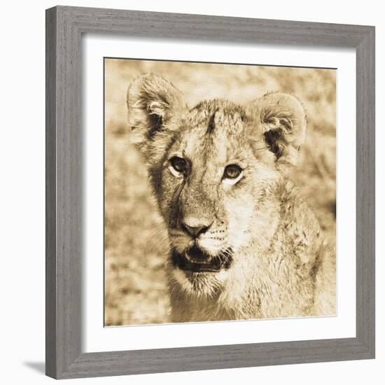 Young Lion-Susann Parker-Framed Photo