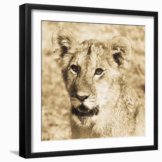 Young Lion-Susann Parker-Framed Photo