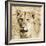 Young Lion-Susann Parker-Framed Photo