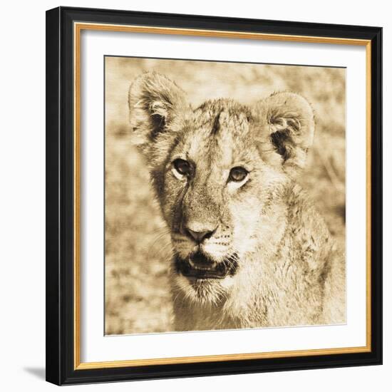 Young Lion-Susann Parker-Framed Photo