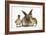 Young Lionhead-Lop Rabbit and Mallard Ducklings-Mark Taylor-Framed Photographic Print