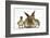 Young Lionhead-Lop Rabbit and Mallard Ducklings-Mark Taylor-Framed Photographic Print