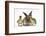 Young Lionhead-Lop Rabbit and Mallard Ducklings-Mark Taylor-Framed Photographic Print