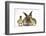 Young Lionhead-Lop Rabbit and Mallard Ducklings-Mark Taylor-Framed Photographic Print