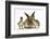 Young Lionhead-Lop Rabbit and Mallard Ducklings-Mark Taylor-Framed Photographic Print