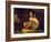 Young Lute Player, C. 1595-Caravaggio-Framed Giclee Print