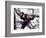 Young Male Chimpanzee, Gombe National Park, Tanzania-Kristin Mosher-Framed Photographic Print