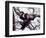 Young Male Chimpanzee, Gombe National Park, Tanzania-Kristin Mosher-Framed Photographic Print