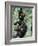 Young Male Chimpanzees Play, Gombe National Park, Tanzania-Kristin Mosher-Framed Photographic Print