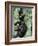 Young Male Chimpanzees Play, Gombe National Park, Tanzania-Kristin Mosher-Framed Photographic Print