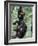 Young Male Chimpanzees Play, Gombe National Park, Tanzania-Kristin Mosher-Framed Photographic Print