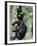 Young Male Chimpanzees Play, Gombe National Park, Tanzania-Kristin Mosher-Framed Photographic Print