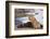 Young male lion (Panthera leo) on buffalo kill, Chobe National Park, Botswana, Africa-Ann and Steve Toon-Framed Photographic Print