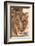 Young Male Lion (Panthera Leo)-Michele Westmorland-Framed Photographic Print