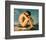 Young Male Nude, 1855-Hippolyte Flandrin-Framed Art Print