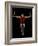 Young Man Exercising on Gymnastic Rings, Bainbridge Island, Washington State, USA-null-Framed Photographic Print