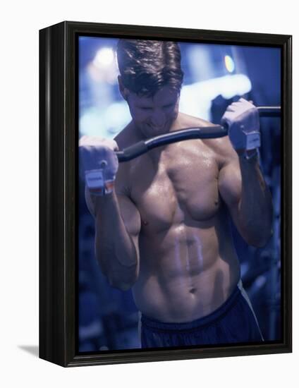 Young Man Exercising with Barbells-null-Framed Premier Image Canvas