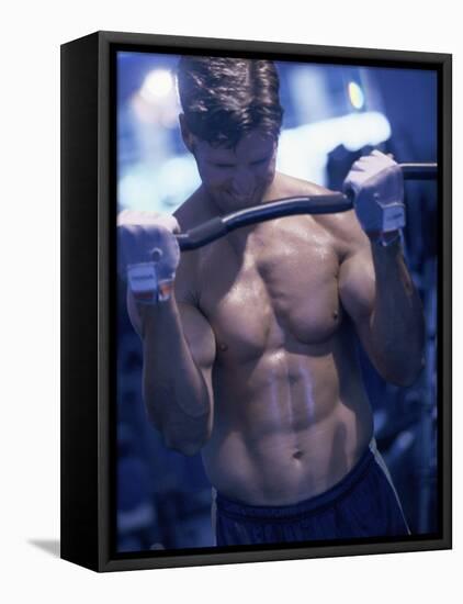 Young Man Exercising with Barbells-null-Framed Premier Image Canvas