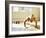 Young Man Preforming Push Up Exercise in Gym, New York, New York, USA-Chris Trotman-Framed Photographic Print
