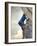 Young man rock climbing up a vertical cliff-null-Framed Photographic Print