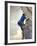 Young man rock climbing up a vertical cliff-null-Framed Photographic Print