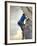 Young man rock climbing up a vertical cliff-null-Framed Photographic Print