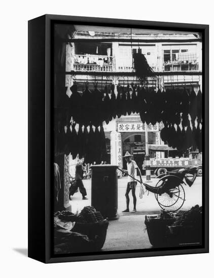 Young Man Standing in Front of a Herbs and Fish Market Displaying Racks of Fish-Howard Sochurek-Framed Premier Image Canvas