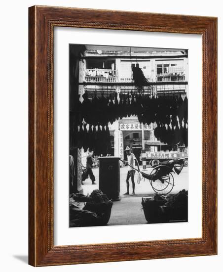 Young Man Standing in Front of a Herbs and Fish Market Displaying Racks of Fish-Howard Sochurek-Framed Photographic Print