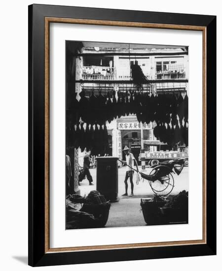 Young Man Standing in Front of a Herbs and Fish Market Displaying Racks of Fish-Howard Sochurek-Framed Photographic Print