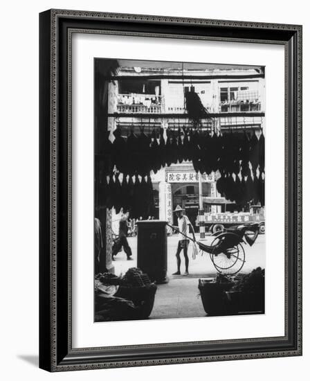 Young Man Standing in Front of a Herbs and Fish Market Displaying Racks of Fish-Howard Sochurek-Framed Photographic Print