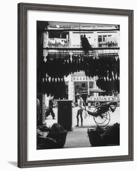Young Man Standing in Front of a Herbs and Fish Market Displaying Racks of Fish-Howard Sochurek-Framed Photographic Print