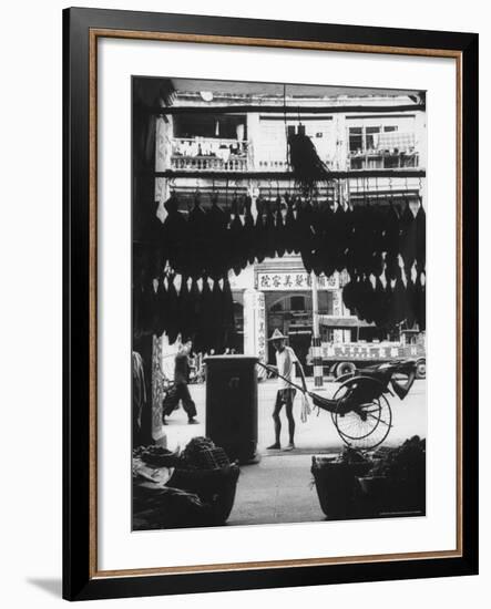 Young Man Standing in Front of a Herbs and Fish Market Displaying Racks of Fish-Howard Sochurek-Framed Photographic Print