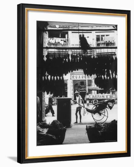 Young Man Standing in Front of a Herbs and Fish Market Displaying Racks of Fish-Howard Sochurek-Framed Photographic Print