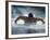 Young Man Swimming the Butterfly Stroke-null-Framed Photographic Print