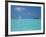 Young Man Windsurfing Near Tropical Island and Lagoon in the Maldives, Indian Ocean-Sakis Papadopoulos-Framed Photographic Print