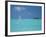 Young Man Windsurfing Near Tropical Island and Lagoon in the Maldives, Indian Ocean-Sakis Papadopoulos-Framed Photographic Print