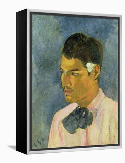 Young Man with a Flower Behind His Ear, 1891-Paul Gauguin-Framed Premier Image Canvas