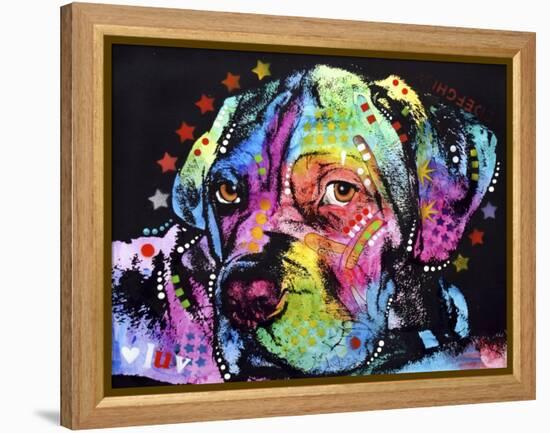 Young Mastiff-Dean Russo-Framed Premier Image Canvas