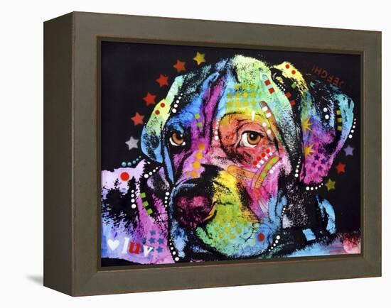 Young Mastiff-Dean Russo-Framed Premier Image Canvas