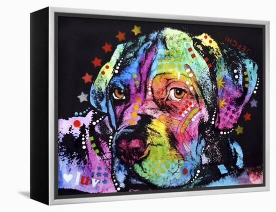 Young Mastiff-Dean Russo-Framed Premier Image Canvas