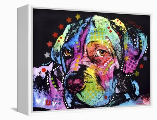 Young Mastiff-Dean Russo-Framed Premier Image Canvas