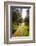 Young Men Hiking on an Outdoor Adventure Trail, the Chilterns, Buckinghamshire, England-Charlie Harding-Framed Photographic Print