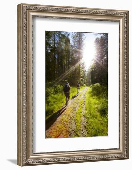 Young Men Hiking on an Outdoor Adventure Trail, the Chilterns, Buckinghamshire, England-Charlie Harding-Framed Photographic Print