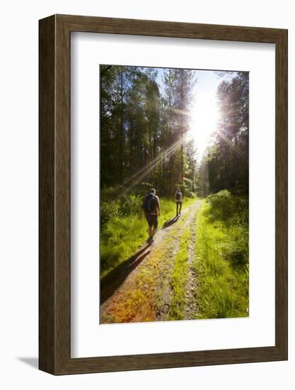 Young Men Hiking on an Outdoor Adventure Trail, the Chilterns, Buckinghamshire, England-Charlie Harding-Framed Photographic Print