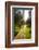 Young Men Hiking on an Outdoor Adventure Trail, the Chilterns, Buckinghamshire, England-Charlie Harding-Framed Photographic Print