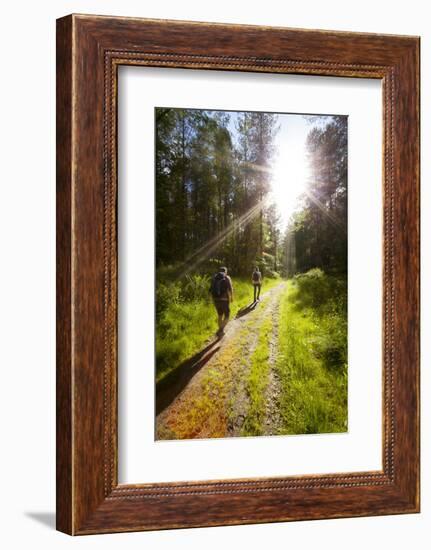 Young Men Hiking on an Outdoor Adventure Trail, the Chilterns, Buckinghamshire, England-Charlie Harding-Framed Photographic Print