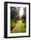 Young Men Hiking on an Outdoor Adventure Trail, the Chilterns, Buckinghamshire, England-Charlie Harding-Framed Photographic Print