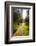 Young Men Hiking on an Outdoor Adventure Trail, the Chilterns, Buckinghamshire, England-Charlie Harding-Framed Photographic Print